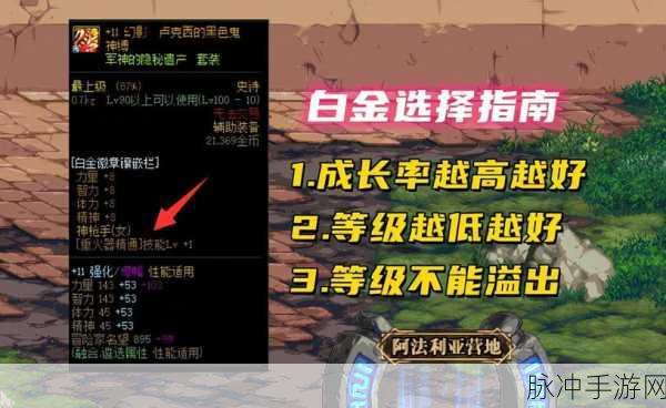 DNF手游攻略，鬼泣白金徽章选择深度解析