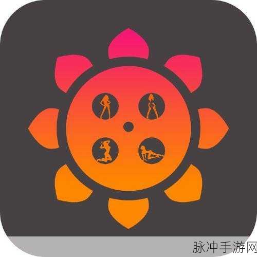 向日葵站长统计记录：全面提升向日葵站长统计记录的功能与应用效果