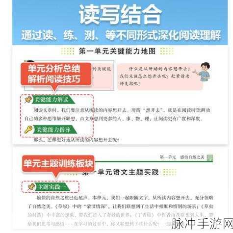 曹留社区2024年一二三四五六七：“曹留社区2024年发展蓝图：一二三四五六七共创美好未来”