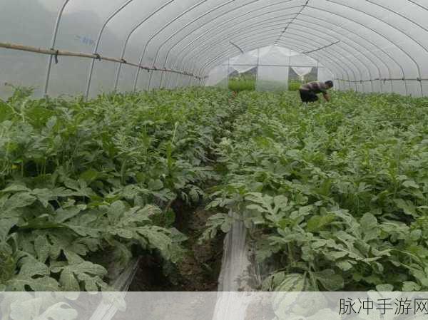 166fun吃瓜热门大瓜今日更新内容：今日热点揭秘：166fun吃瓜新鲜大瓜全解析！