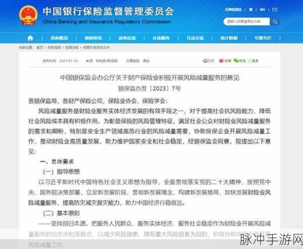 9幺高危风险9.1免费版安装：免费版9幺高危风险扩展安装指南与注意事项