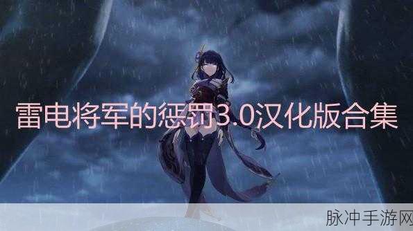 雷电将军の罚ゲーム视频：雷电将军的惩罚游戏大揭秘：挑战你的极限与勇气！