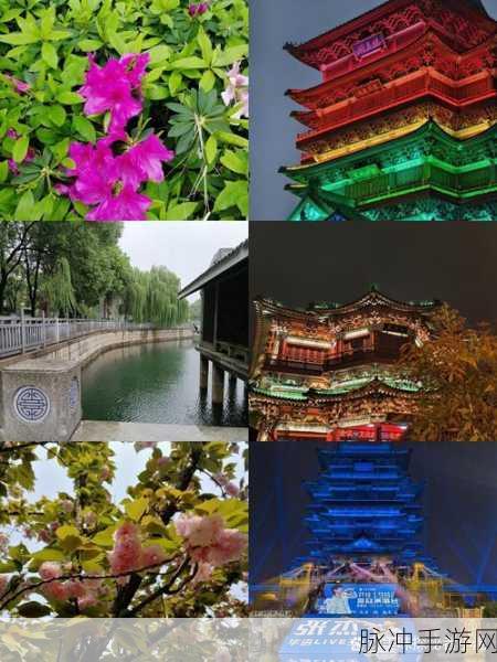 中文字日产幕码一区二区色哟哟：探索多元文化交融的奇妙旅程：字日产幕码一区二区色哟哟的魅力与奥秘