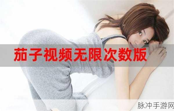 成品视频：拓展成品视频，探索创意无限的新领域与精彩内容。