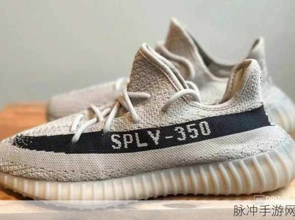 三叶草m码和欧洲码的对比：“深入解析拓展三叶草M码与欧洲码的对比差异”