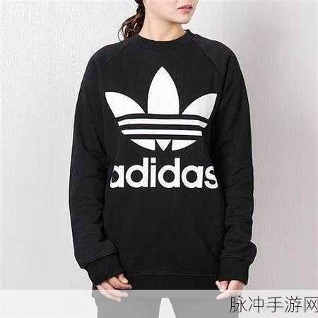 三叶草m码和欧洲码的对比：“深入解析拓展三叶草M码与欧洲码的对比差异”