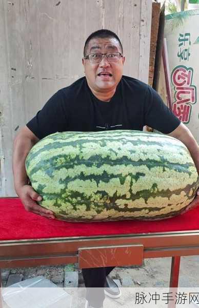 155fun吃瓜群众：155fun平台，吃瓜群众一起乐享精彩时刻！