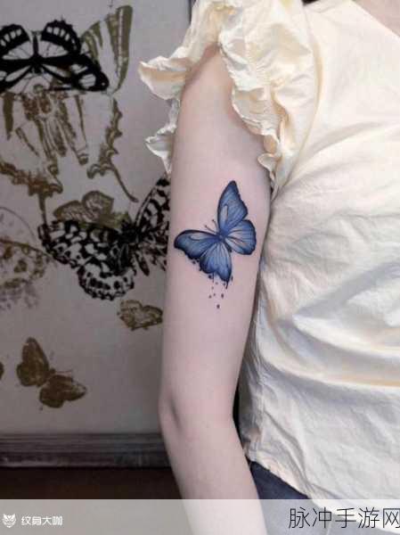 女生稀有的蝴蝶比的特征：独特魅力：探寻女生稀有蝴蝶比的鲜明特征