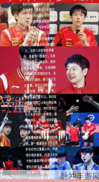 王楚钦孙颖莎训练接吻：王楚钦与孙颖莎亲密训练互动，激情四溢展现默契配合