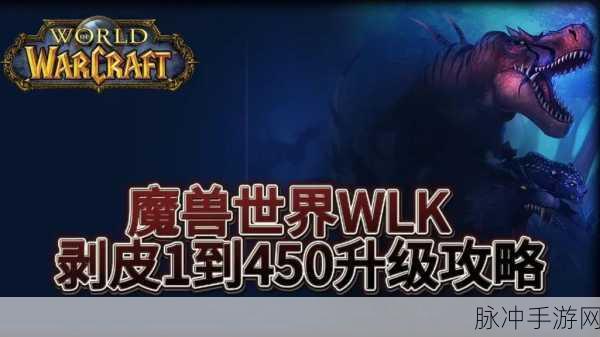 wlk制皮1-450最省材料攻略：WLK制皮1-450最省材料攻略全面解析与技巧分享