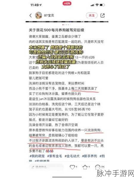 黑料吃瓜：深入探讨黑料背后的真相与吃瓜者的心态