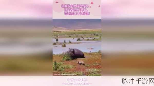 国产热门事件黑料吃瓜网汇总：国产热门事件黑料揭秘与吃瓜网最新动态综合盘点