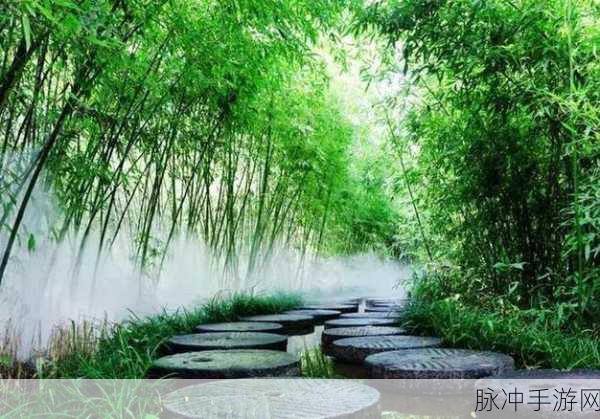 幽谷花径内的阻力突然减小：幽谷花径内阻力骤减，探寻自然奇观之旅