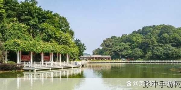 tobu7tobu8HD9：探索tobu7与tobu8HD9的精彩世界，尽享无限乐趣与创意！