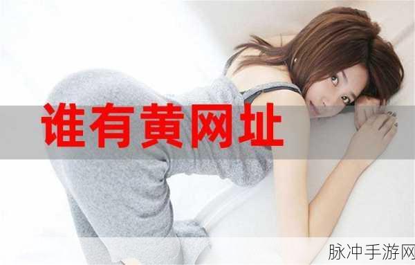 网站推荐十八禁：推荐十个适合成人内容的网站，满足你的探索欲望！