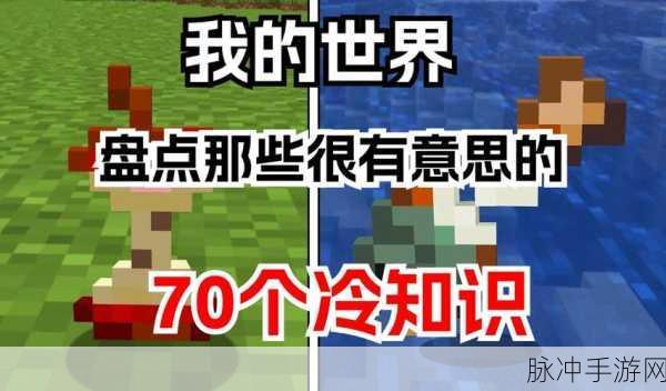我的世界冷知识：探索我的世界：你不知道的神秘冷知识大揭秘