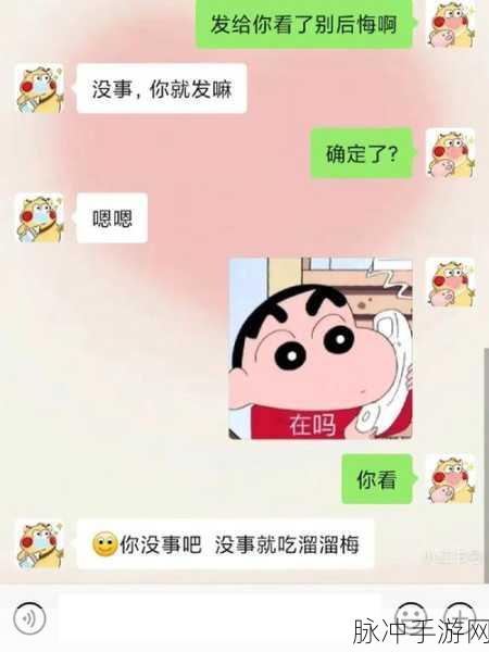 反差婊吃瓜黑料20：揭开反差婊的真实面目，20个令人震惊的黑料曝光!