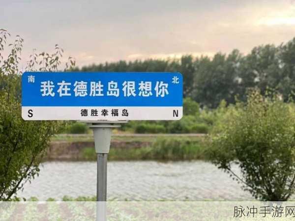 天天5g天天嗨罗志祥饮食男女：天天5G嗨不停：罗志祥的饮食男女生活指南