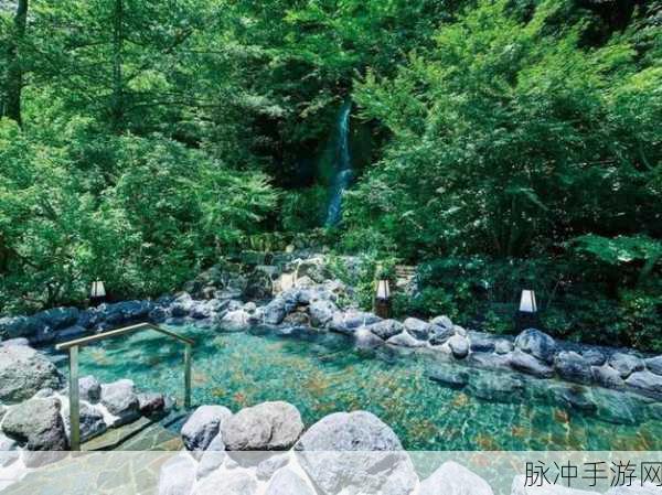 日本一区二三区好的精华液：“探索日本一区二三区优质精华液的卓越之选”