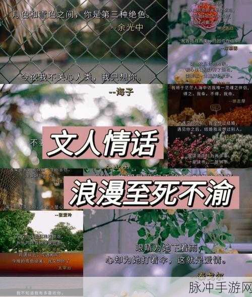 《overflow》翻译樱花：樱花盛开的季节：溢出的思念与情感交织