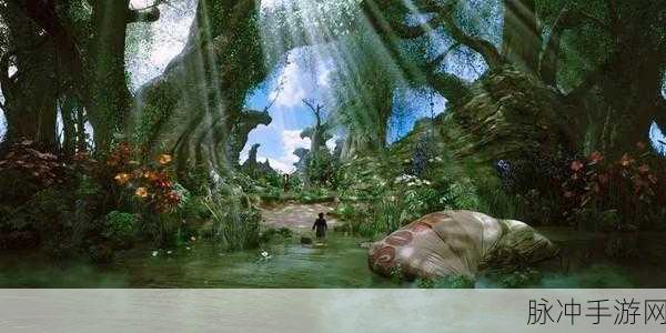 东南亚10一12仙踪林：东南亚神秘仙踪林探险之旅：探索自然与文化的奇妙交汇