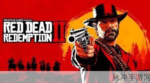 60多岁镖客奶奶：“传奇奶奶的镖客生涯：六十岁后的勇敢与冒险”