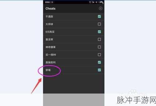 NDS 模拟器金手指使用全攻略