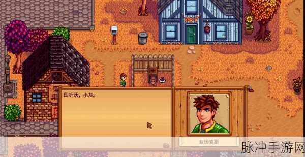 星露谷物语中寻找亚历克斯的详细指南