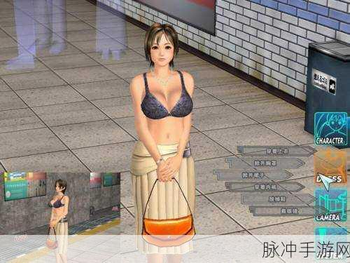 电车之狼R攻略：电车之狼R游戏全攻略：玩法技巧与隐藏要素详解