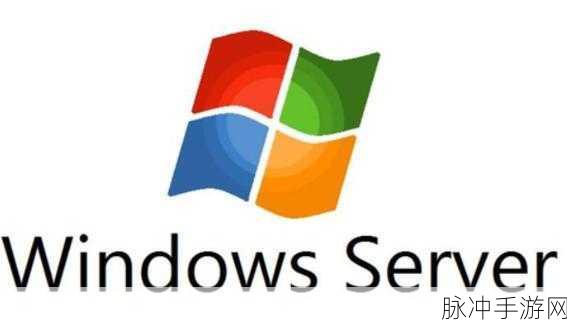 windowsvps美国：美国高性能Windows VPS服务器，助力您的业务腾飞