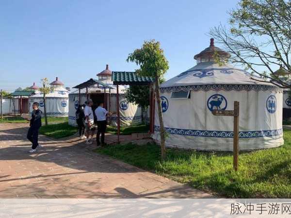 公园小树中老年交易图片应用场景：“小树中老年交易：拓展公园的社交与交流新空间”