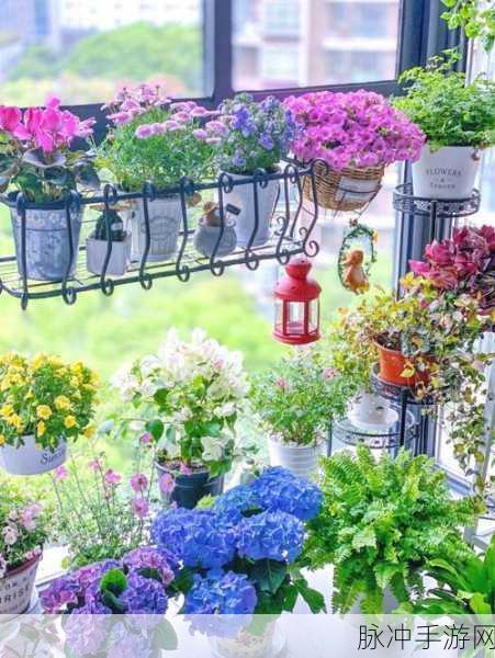 亲小花园的图片：在阳光明媚的日子里，打造一片浪漫的小花园景观