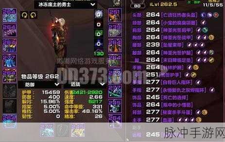 乌龟服惩戒骑装备选择：乌龟服惩戒骑装备选择指南与推荐策略解析