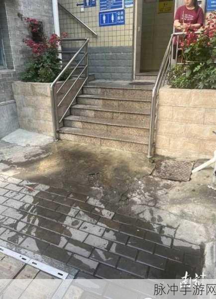 jy改造系统盂乐乐：“创新jy改造系统，让盂乐乐焕发新生机”