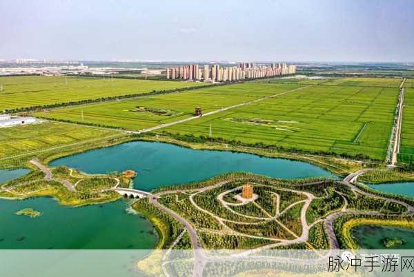 99精产三产区：推动99精产三产区发展，促进经济高质量转型升级