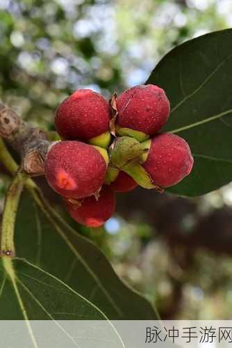 麻豆传煤入口榆林：拓展麻豆传煤入口，助力榆林能源产业升级与发展