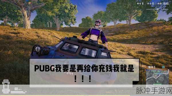 pubg成本：探讨PUBG的成本构成与商业模式分析