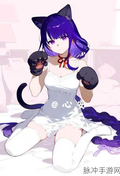 雷电将军被C出液体：雷电将军被C出液体，揭示新的神秘力量！