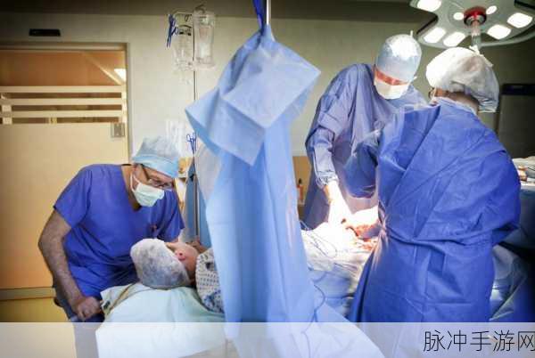 生猴子的全过程不盖被子：生猴子的全过程揭秘：从孕育到成长不盖被子