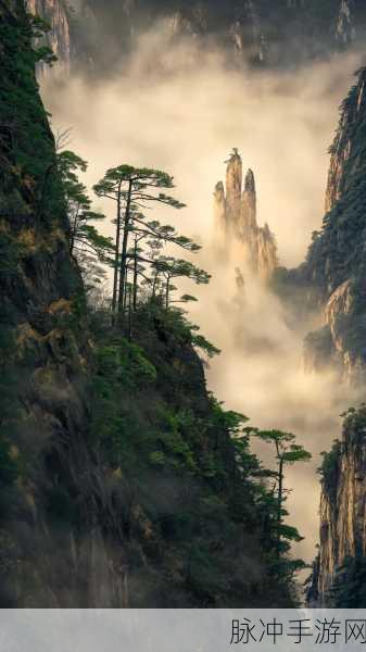 美女露小积积软件：探索美丽新境界：解锁你的自信与魅力的秘密软件