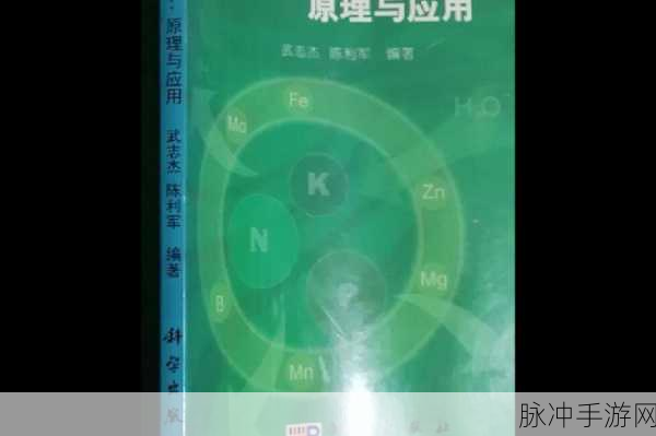 肌肌桶：“全面解析拓展肌肌桶的科学原理与应用实践”