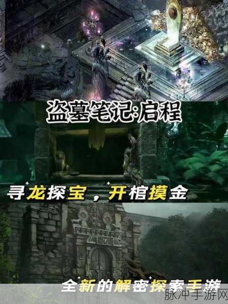 天堂网wwww：探索新世界：拓展天堂网的无限可能与精彩体验