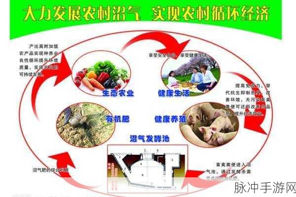 丰年经继拇3的机能量发展：探索丰年经继拇3的机能量与可持续发展新路径