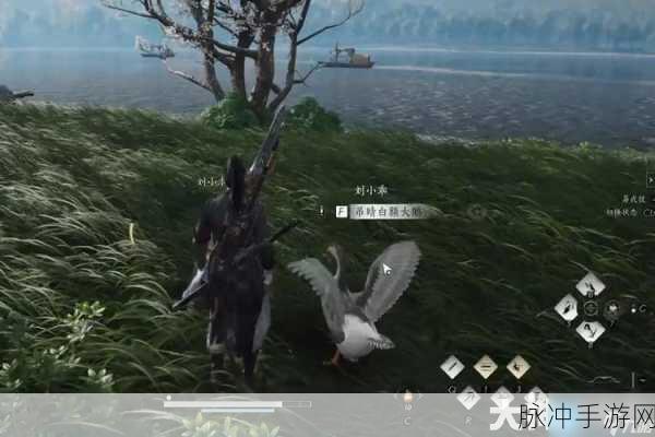 燕云十六声之大鹅争锋任务全解析