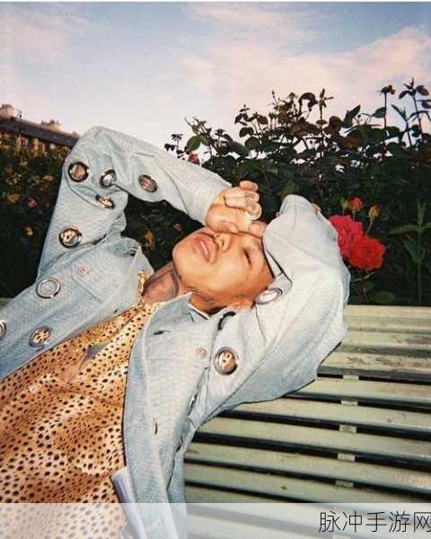 日本一姐rapper太多：日本一姐rapper太多：音乐界的风云变幻与新势力崛起