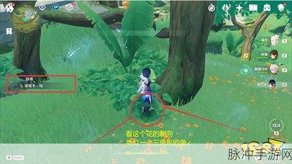 原神辉木业果木快速采集路线攻略，掌握高效收集资源技巧