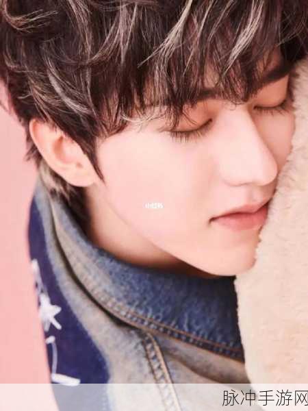 坤坤 进挑子里：拓展坤坤：在挑战中不断成长与突破的旅程