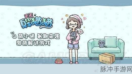 天天躲猫猫2全关卡通关攻略大全