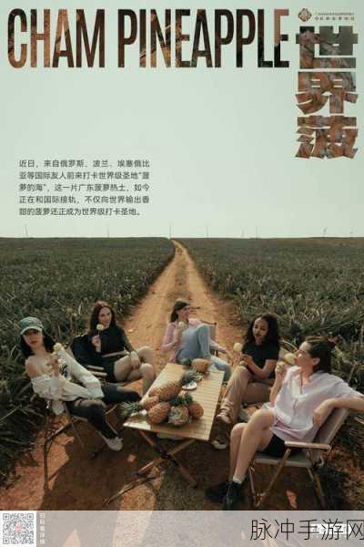 国产日韩欧美：国产影视作品的崛起与国际市场的对接之路