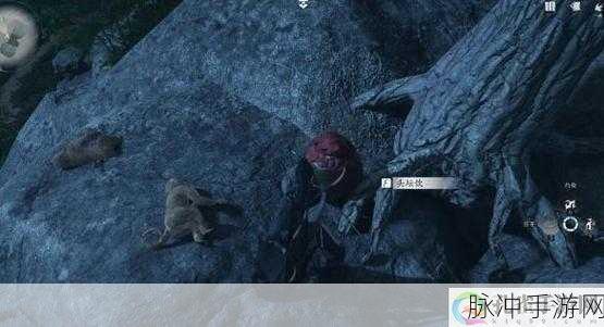 燕云十六声手游攻略，猫猫两撮毛位置详解及任务要点